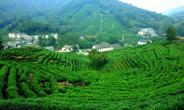 Hangzhou